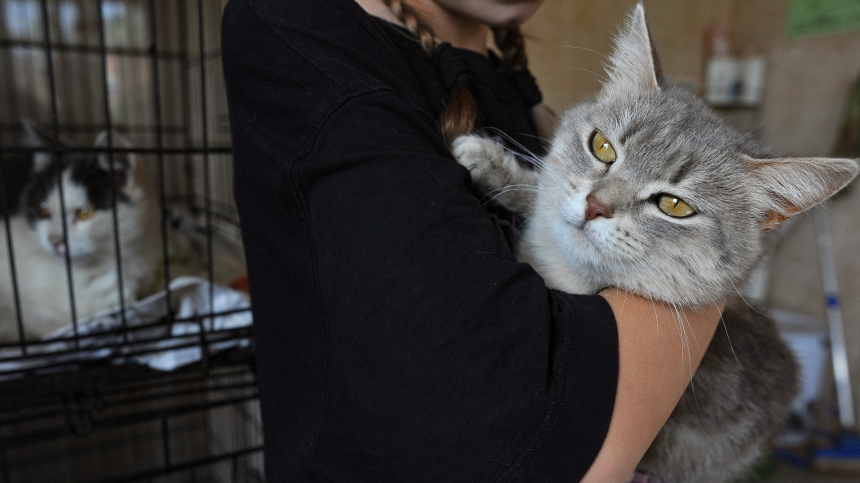 За помощь животным зоопарка москвичи получат больше баллов программы лояльности