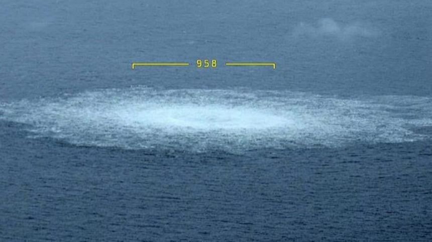 В Госдуме назвали решение суда ФРГ по делу о Северных потоках трусливым