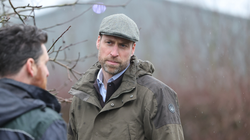 Соперничающий двор: принц Уильям опасается возвращения брата в Великобританию