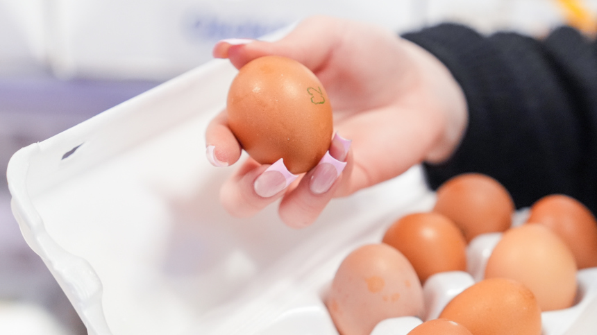 Куриный код: эксперты объяснили разницу между белыми и коричневыми яйцами