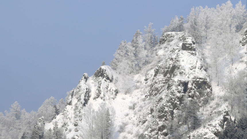 Доброволец рассказала о дальнейших планах поиска семьи Усольцевых