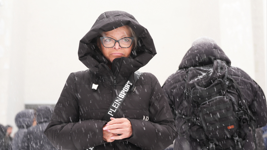 Снова без дома: квартиры Долиной в Латвии могут продать на аукционе