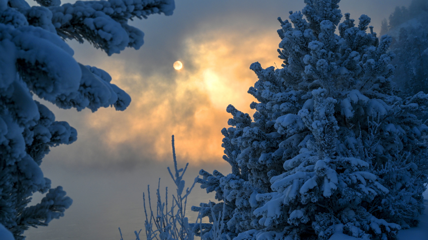 Снова в тайгу: в Красноярском крае возобновили поиски пропавшей семьи Усольцевых