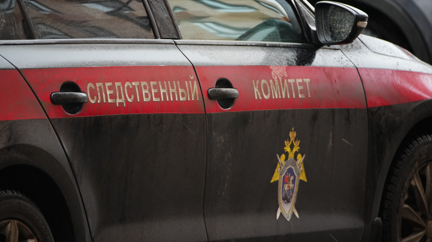 Фигурантке дела о похищении подростка в Красноярске предъявили обвинение