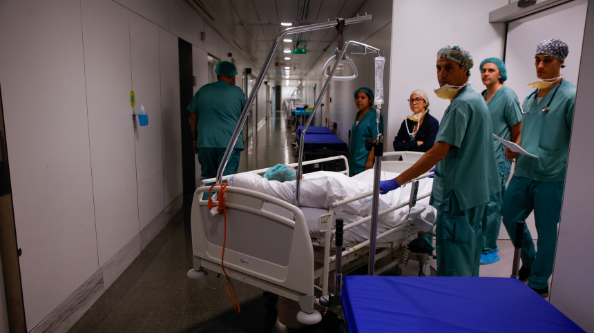 Четыре человека насмерть отравились бледными поганками в Калифорнии