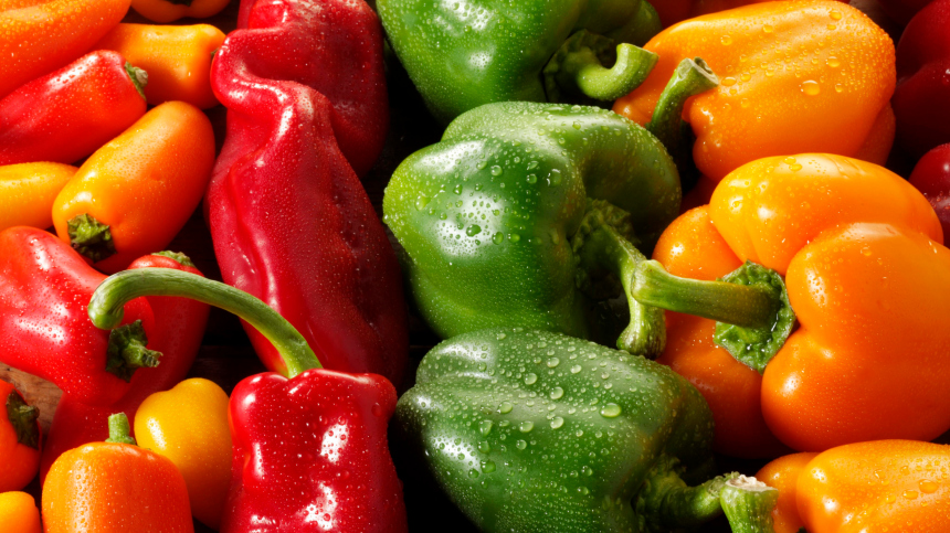 Пора сеять перец на рассаду! Как вырастить богатый урожай  пошаговая инструкция