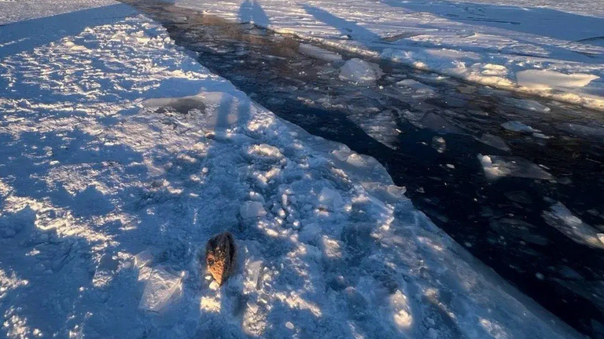 Тела восьми человек подняты водолазами со дна Байкала