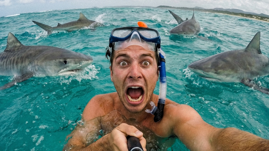 От акул до креветок-богомолов: как выжить при встрече с морским хищником