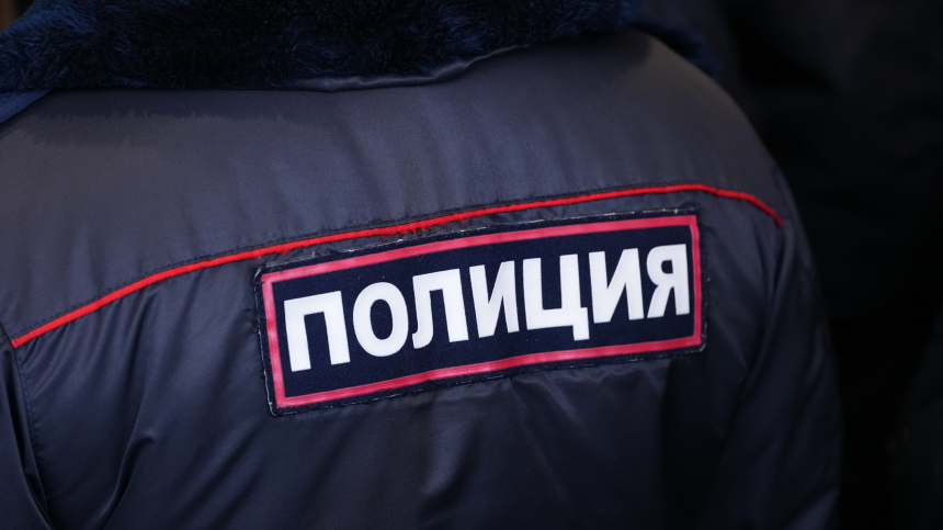 Похищение или несчастный случай Что случилось с девятилетней девочкой в Смоленске