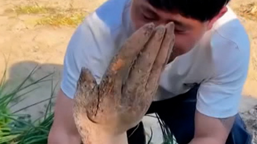 Китайский фермер откопал на огороде зомби-конечность