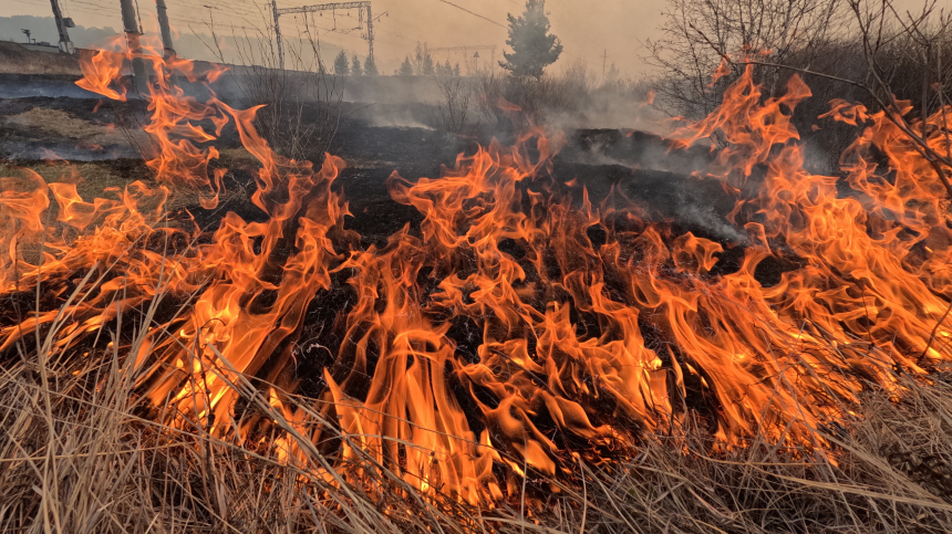 Природные пожары в Хакасии добрались до жилых домов