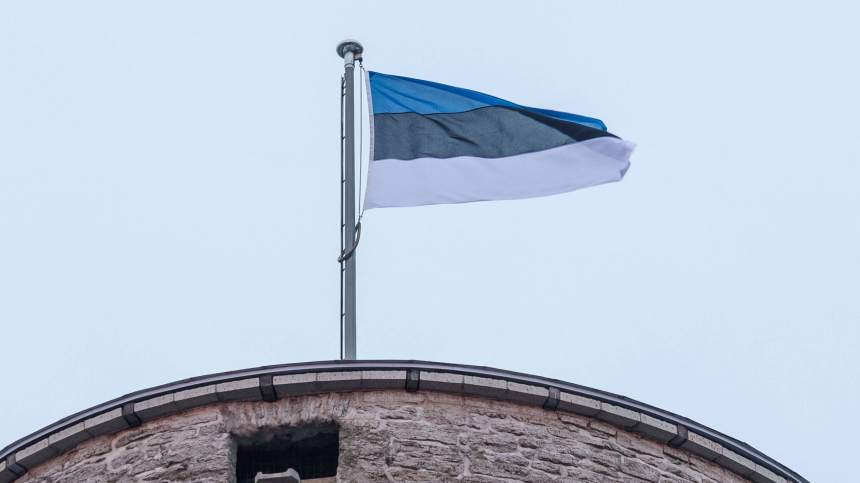 Бизнес в Эстонии оказался под угрозой: кризис ударил по крупным проектам