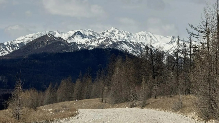 Число погибших альпинистов при сходе лавины в Бурятии возросло до трех