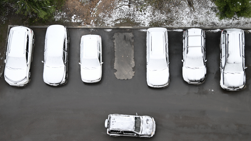 В Подмосковье выпал снег