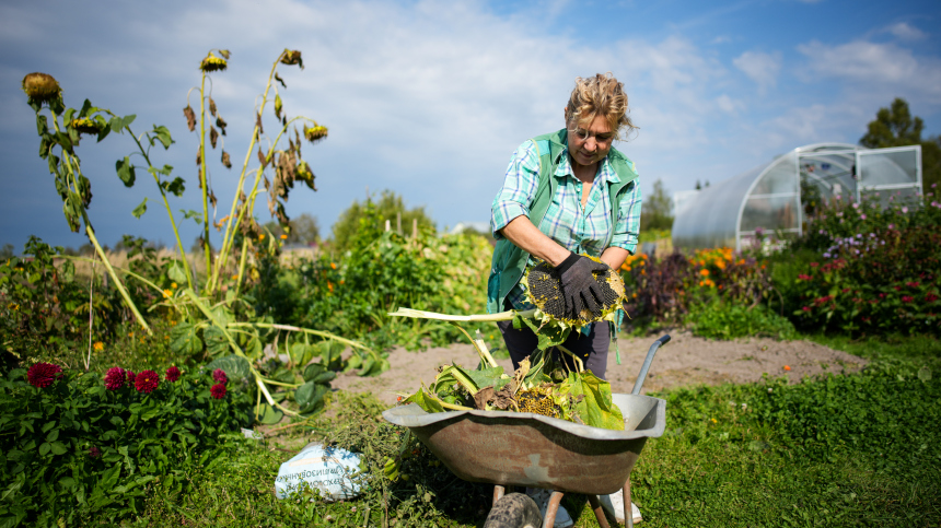 Дачников предупредили о риске заражения мышиной болезнью