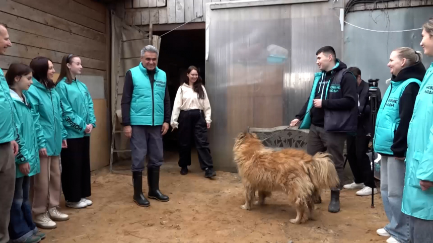 Новые люди помогли приютам для животных по всей стране подготовиться к лету