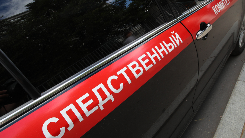 Были у психолога: мать о состоянии подвергшейся нападению дочери в Тюмени