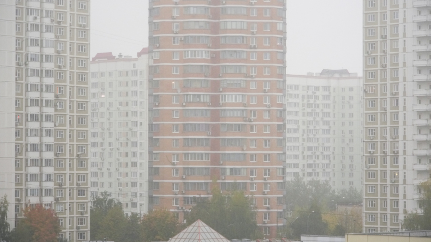 В МЧС предупредили о сильном тумане в Подмосковье ночью