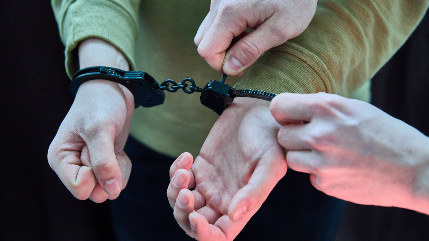 В Армении задержали математика Михаила Вербицкого*