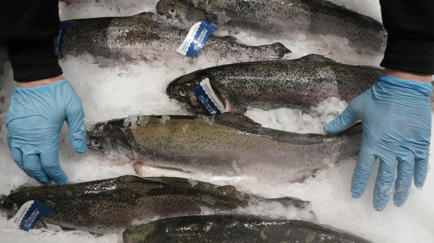 Россия ввела ограничения на поставки рыбной продукции из Армении