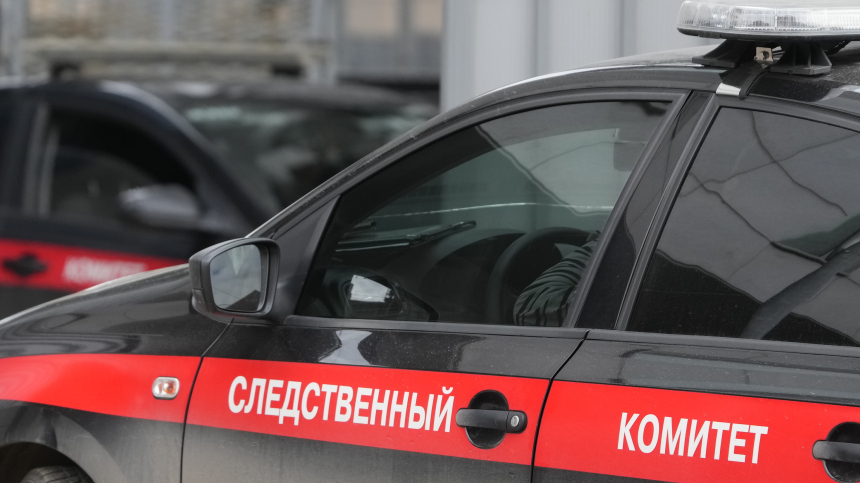 Убивший девочку в Ленобласти мужчина душил ее и нанес более 30 колотых ранений