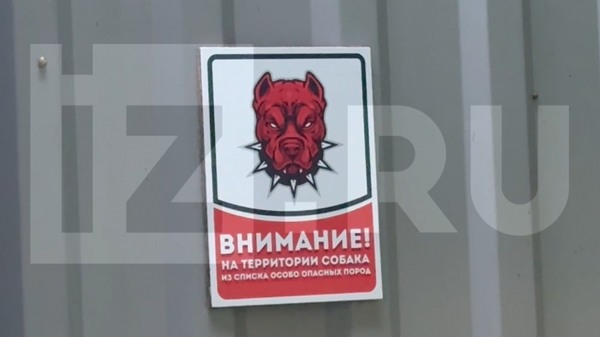 Собаки напали на пятилетнего ребенка в Подмосковье