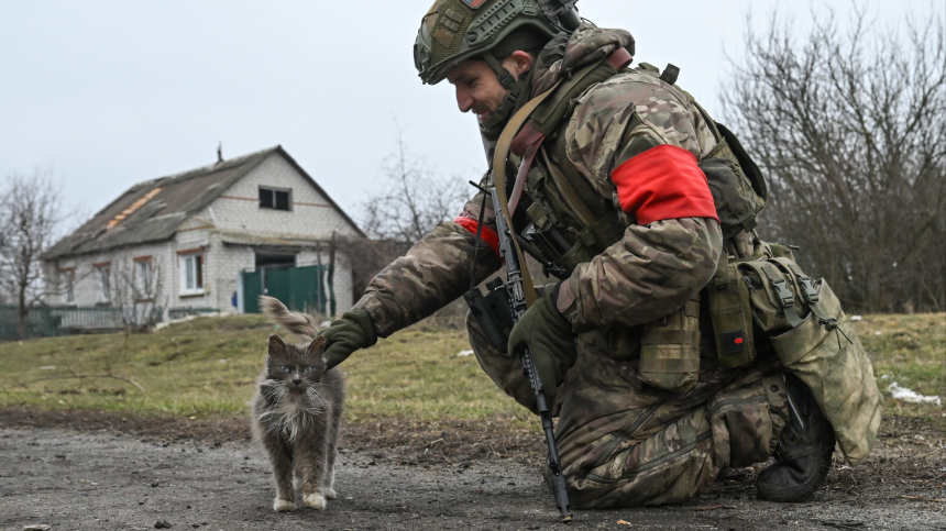 Кошка спасала от мин, пес погиб в схватке с дроном: животные-герои СВО